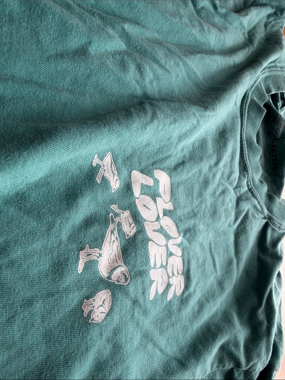 Bird collective Plover Lover long sleeve teal t shirt - Picture 3 of 4